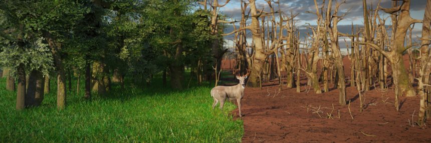 Extincion-Vegetal-Avanza-por-Crisis-Climatica-Global