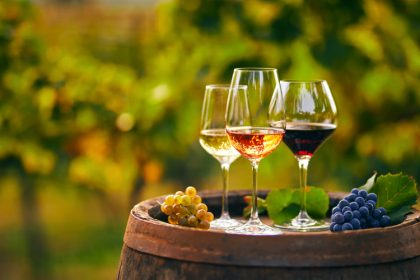 el-vino-español-acelera-su-giro-sostenible