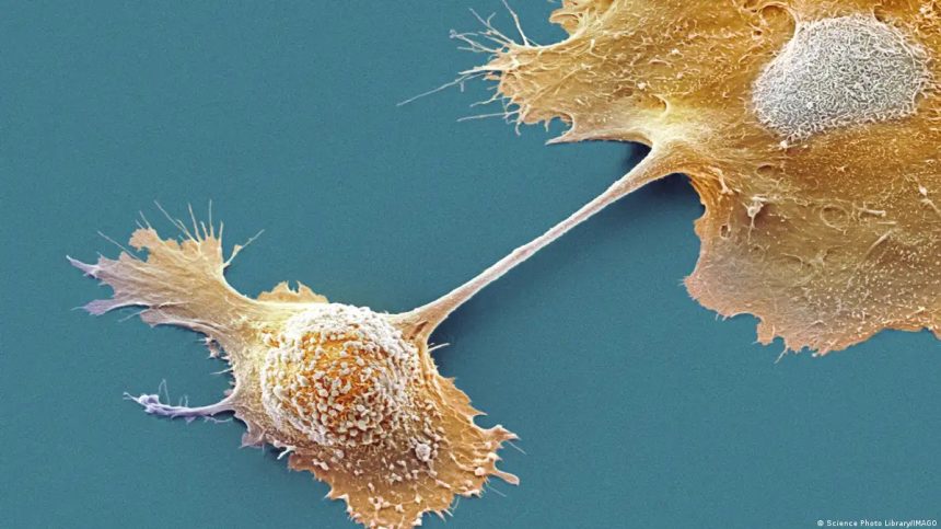 Pildora-promete-cambiar-el-panorama-del-cancer-pancreatico