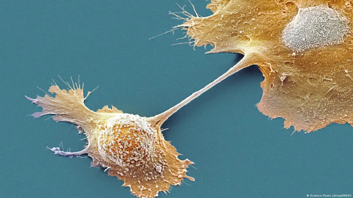 Pildora-promete-cambiar-el-panorama-del-cancer-pancreatico
